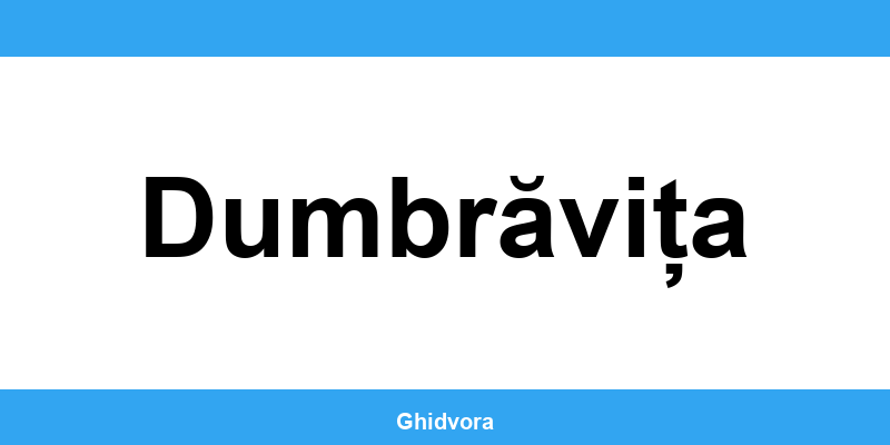 Contact DRPCIV Dumbrăvița, programări online și orar de funcționare