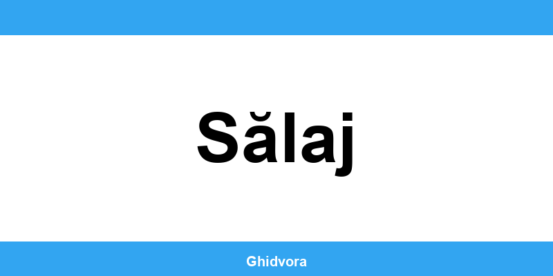 Contact DRPCIV Sălaj, programări online și orar de funcționare